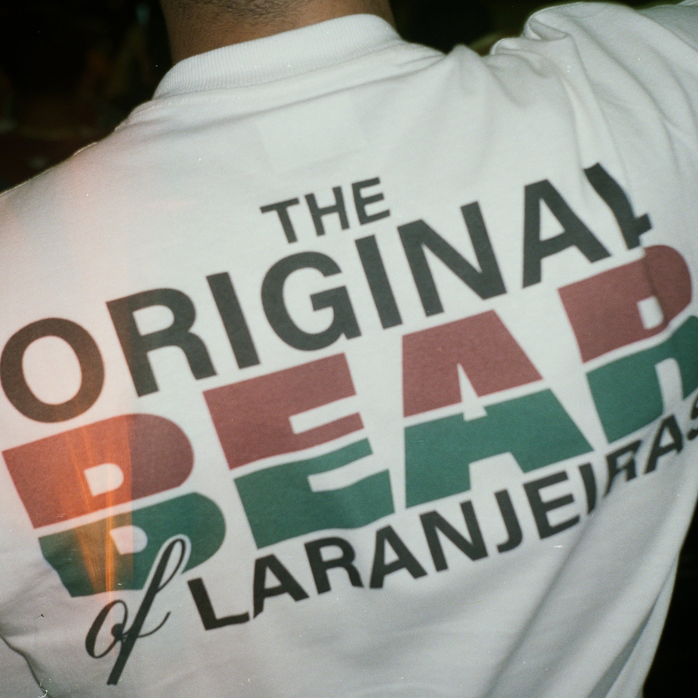 THE BEAR OF LARANJEIRAS