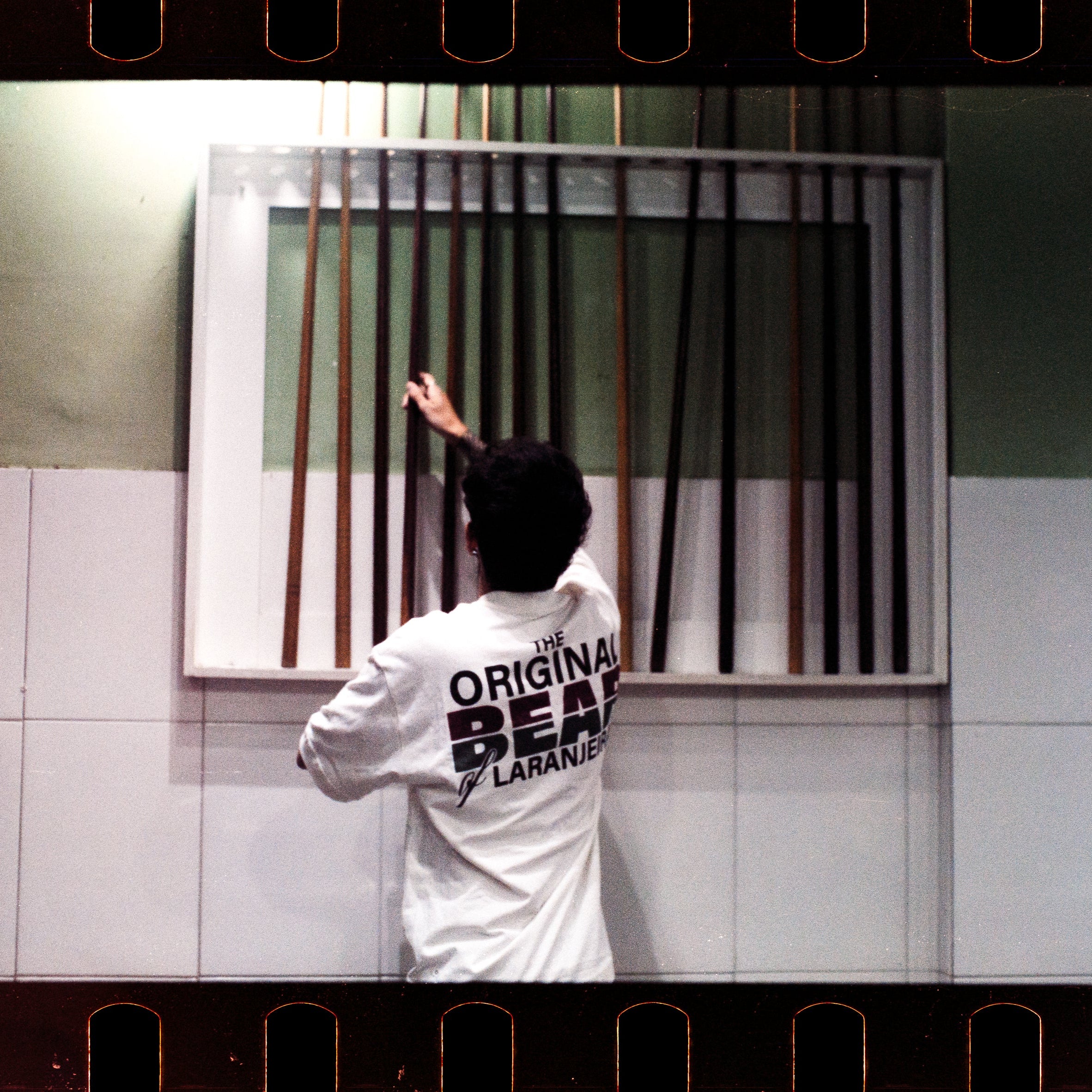 THE BEAR OF LARANJEIRAS